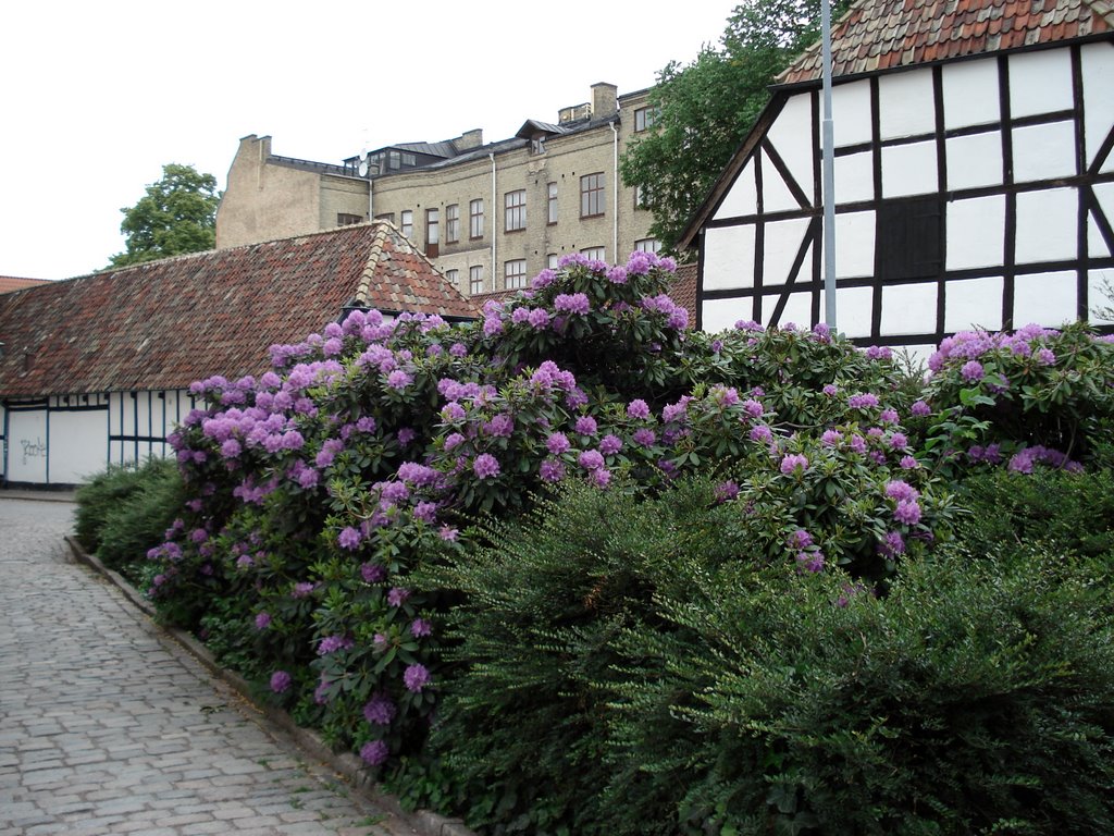 Lund,Sweden