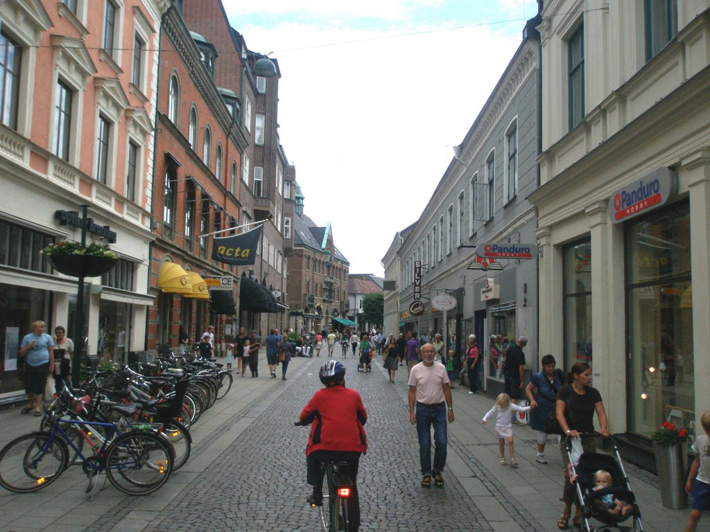 The commercial street Lilla Fiskaregatan in Lund. August 2009.