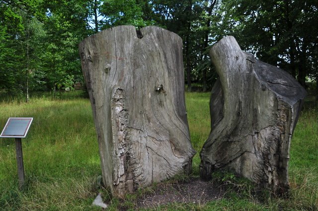 Felled