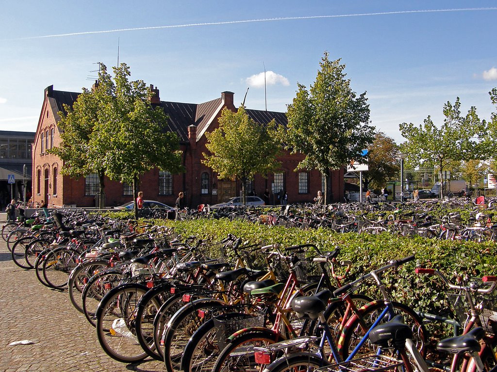 Station Bike Park