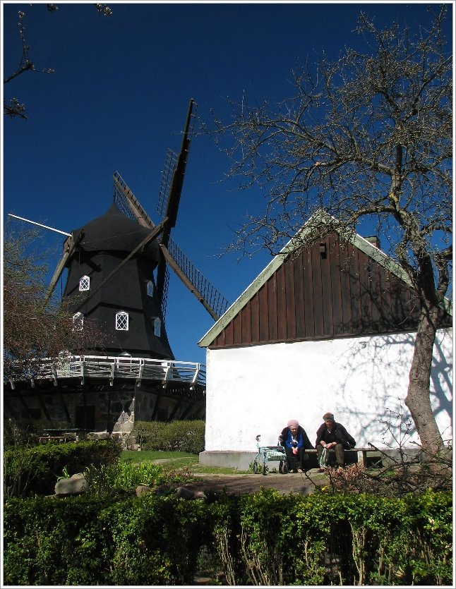 Spring in Malmö