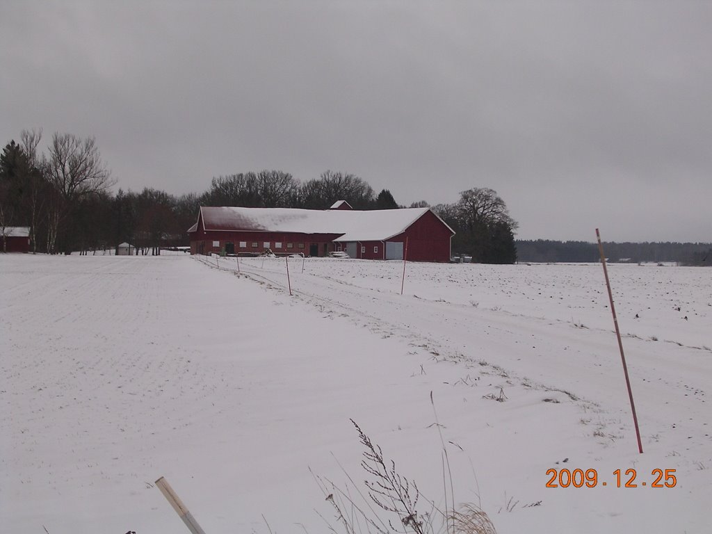 Vinter över slätten