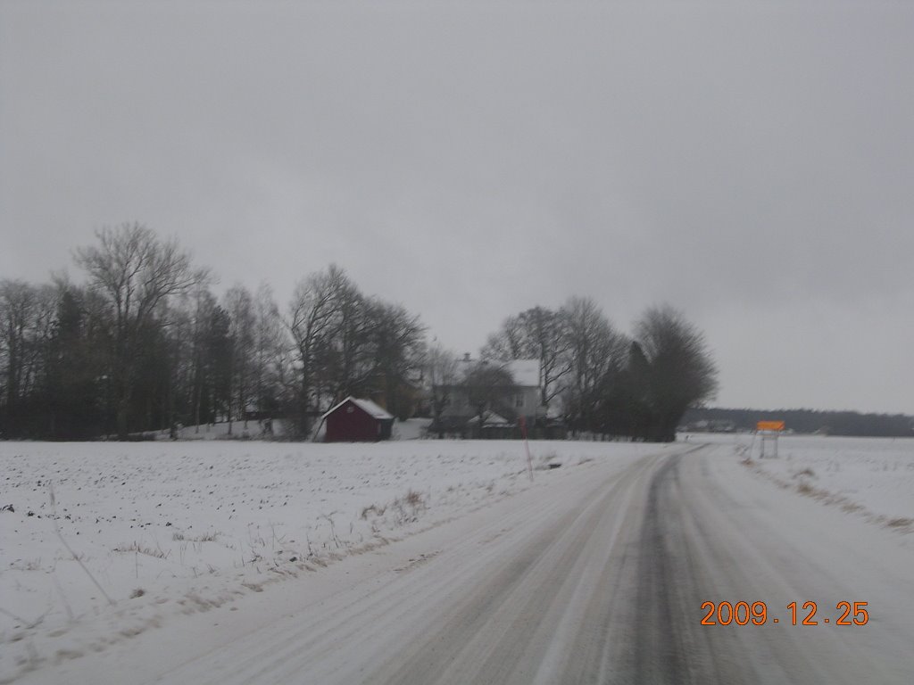Kullen i vinter