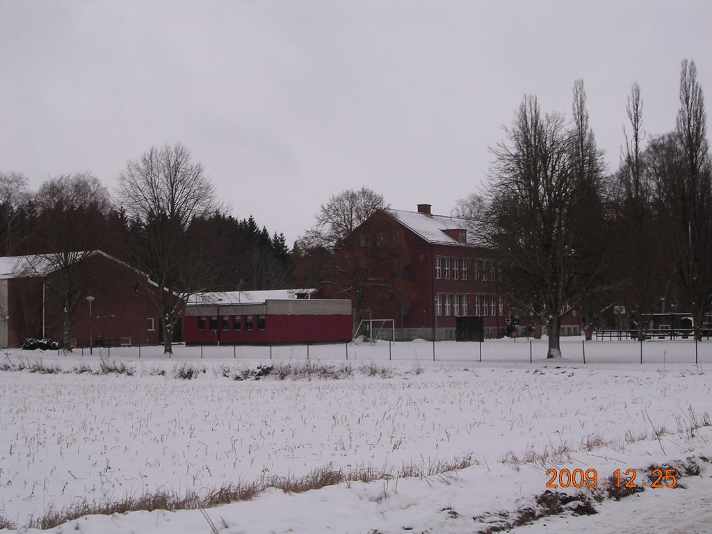 Levene skola