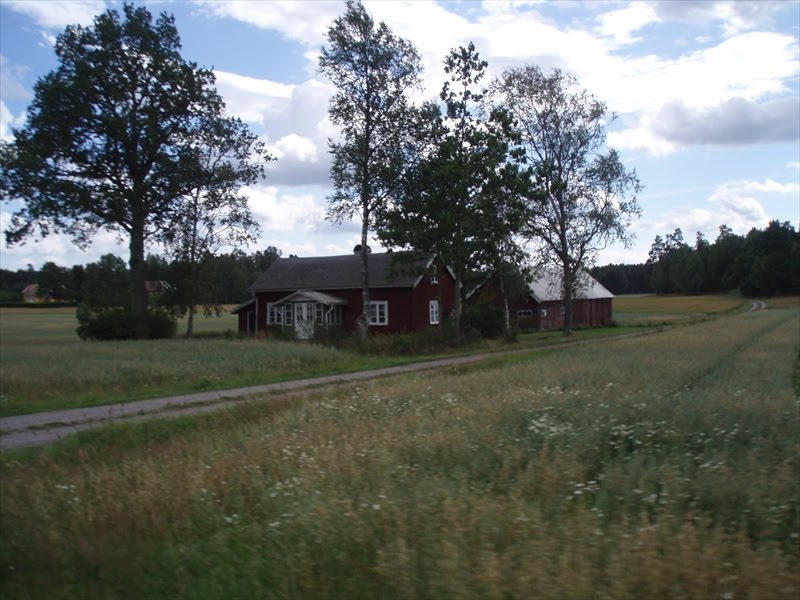 Askjum (2008)