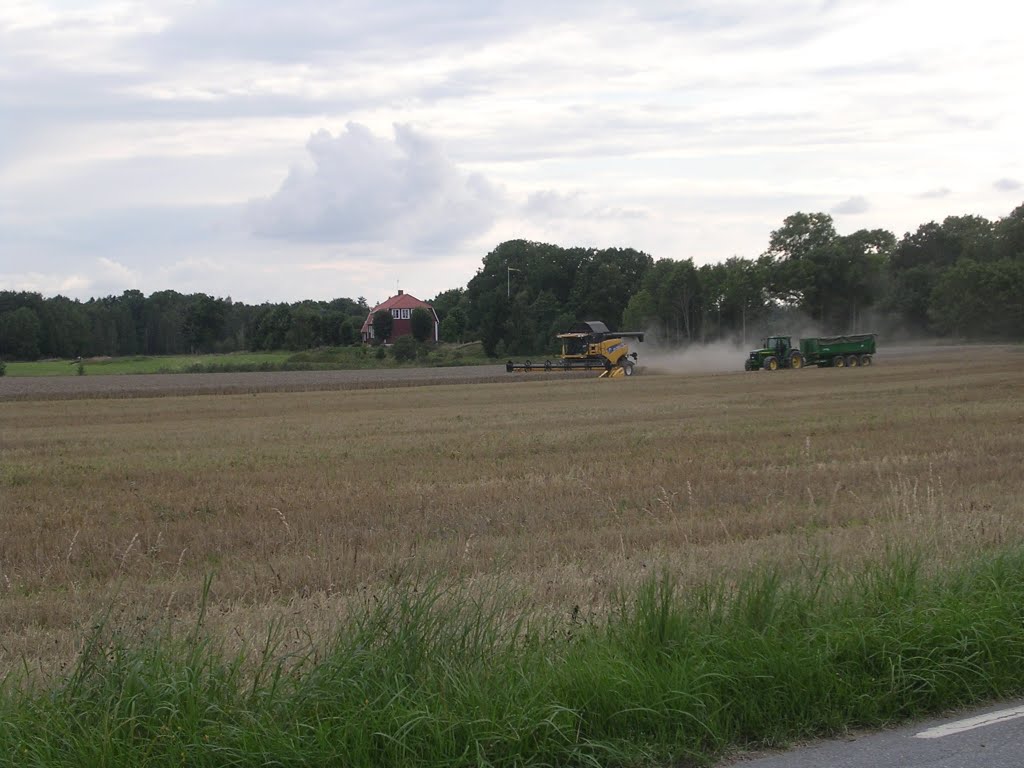 Ulvstorp