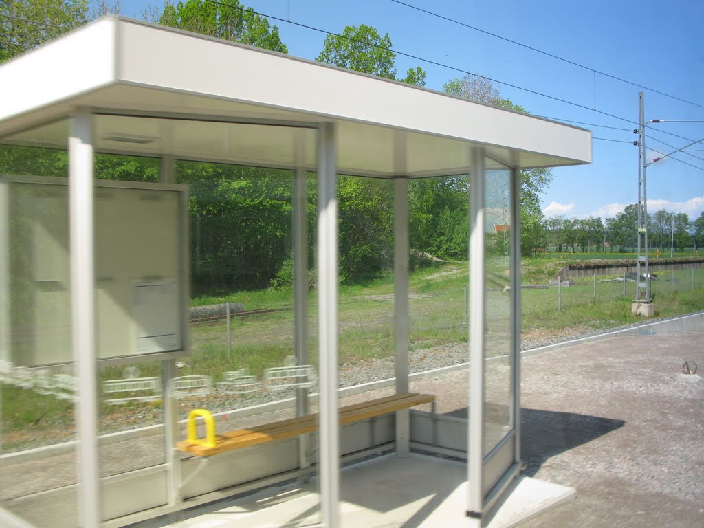 View from a train in Håkantorp 2010