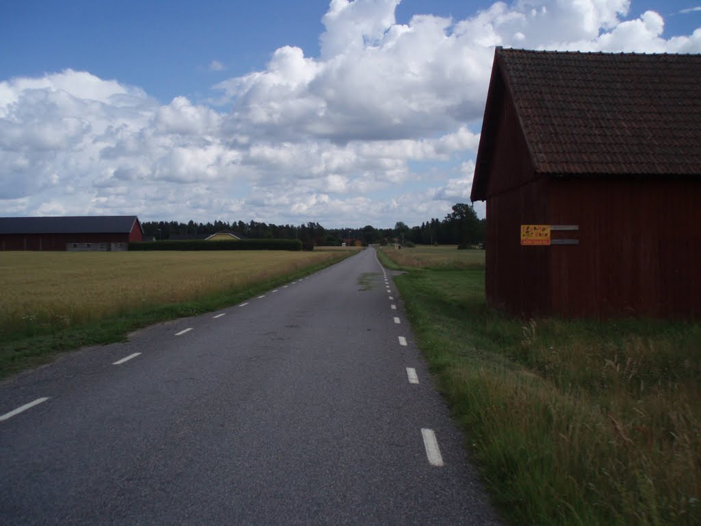 The road to Tumleberg in Askjum 2008