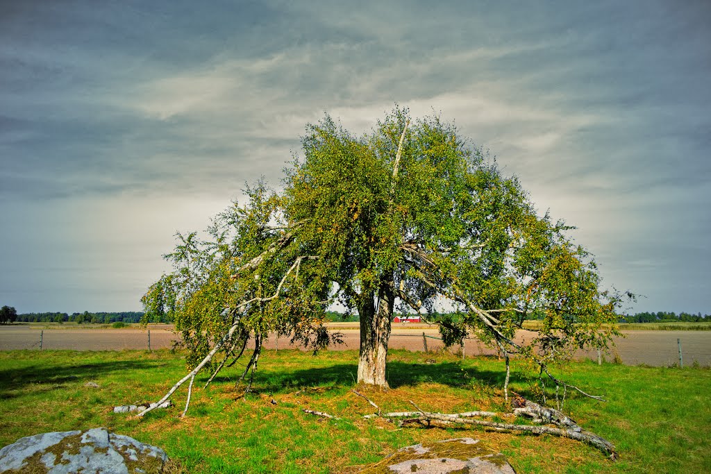 Naturpark, St. Levene