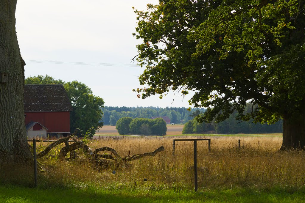 Naturpark, St. Levene
