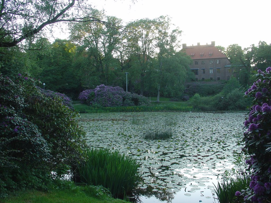 Pond