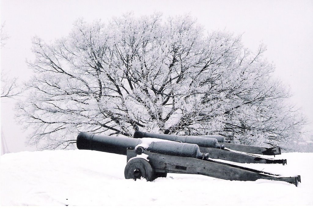 Canons and Snow. ©JucaLodetti