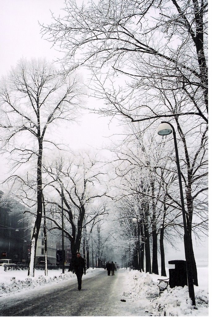 Gotemburg in January.....cold! ©JucaLodetti