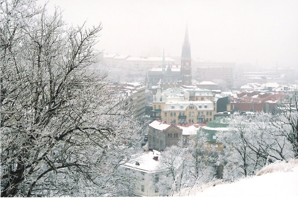 Gothenburg in January...cold!! ©JucaLodetti