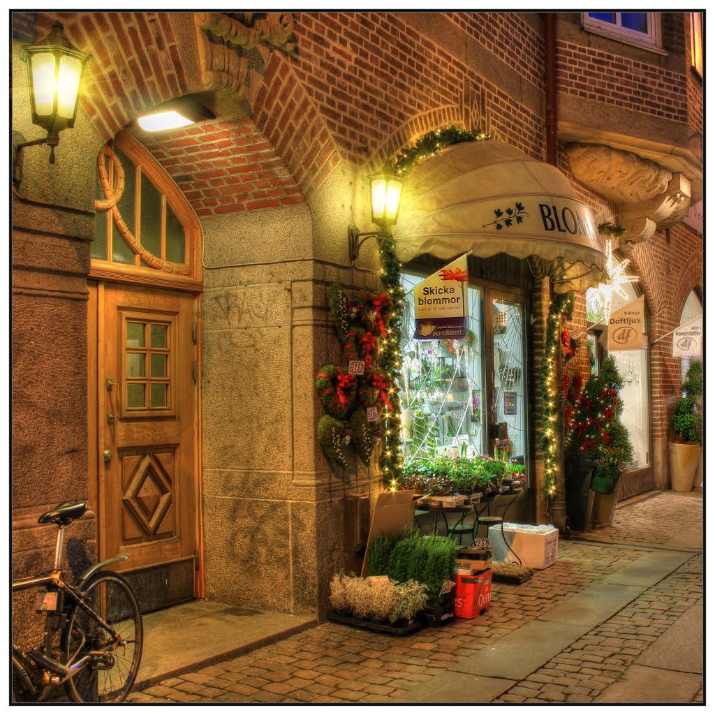 DecoFlora Butik. Södra Allégatan. Gothenburg