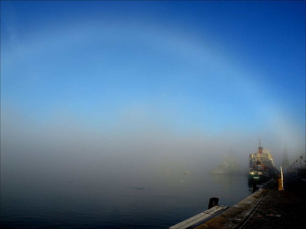 The White Rainbow!
