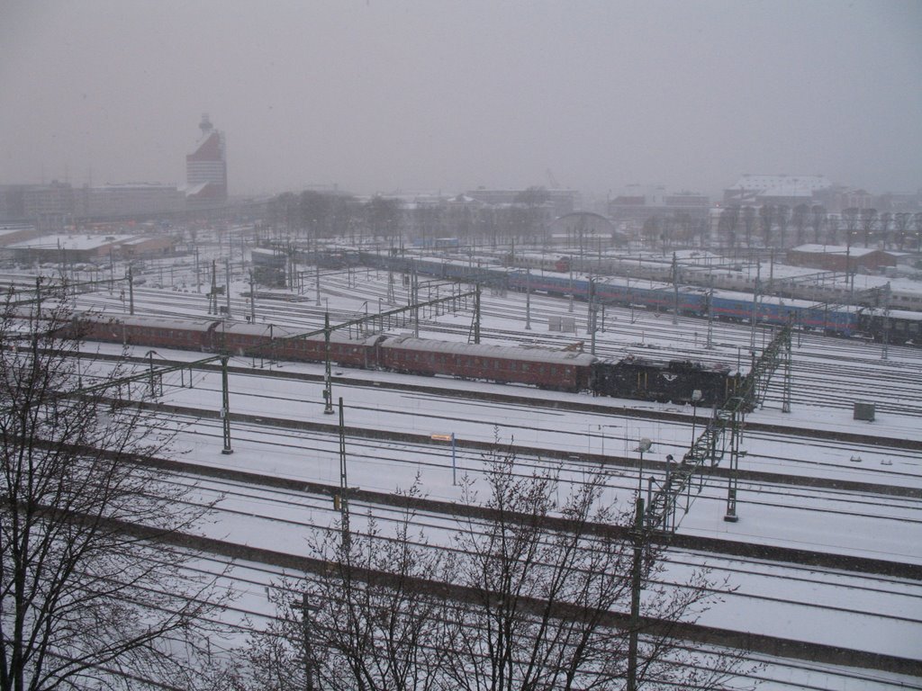 SSnowwing at central Station. ©JucaLodetti