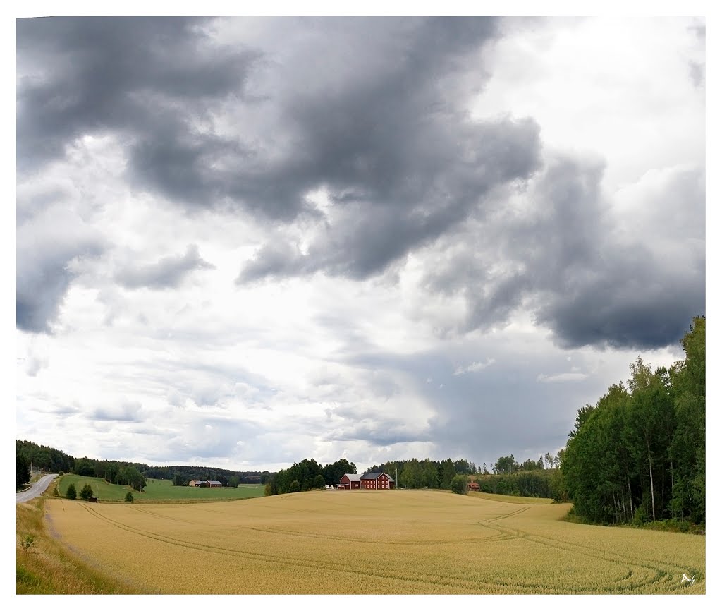 Malmköping 2014-07-19