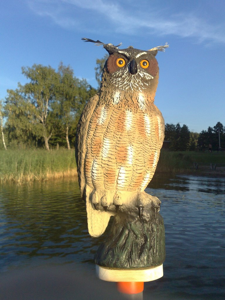 Fake Owl