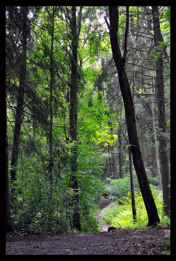 Trumslagarskogen, Malmköping