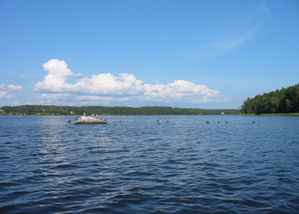 Shoal in Lake Båven