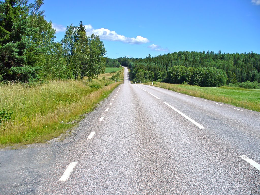 Road in summer