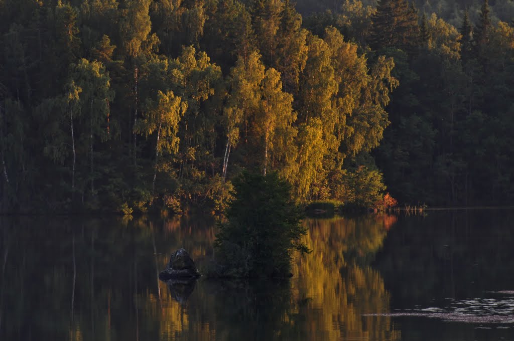 Sunset light at lake Nedingen