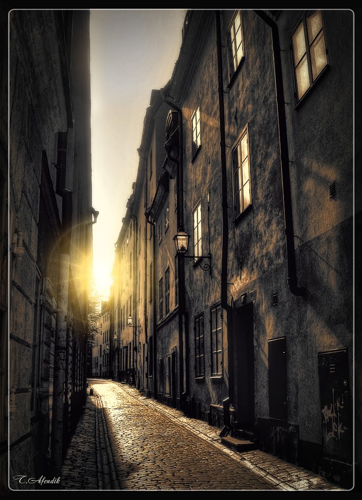 The Quiet Street in Stockholm
