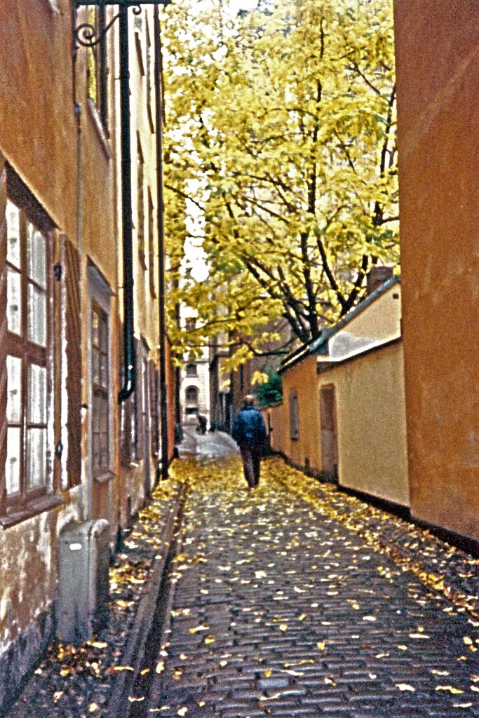 Stockholm in the autumn