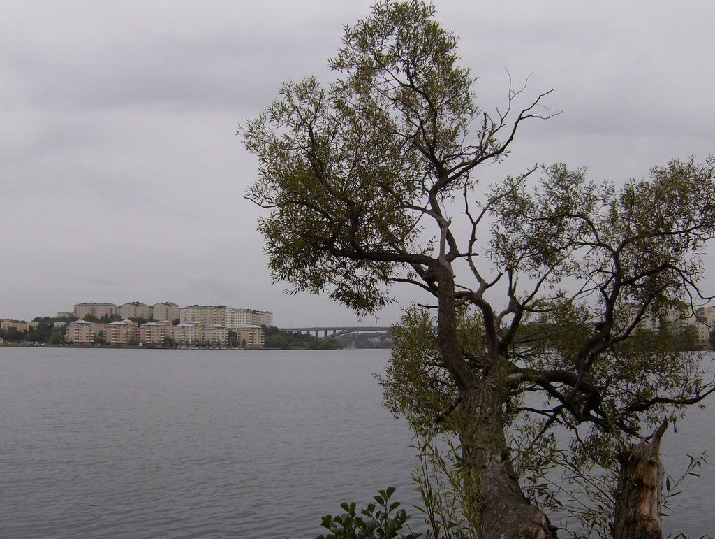 Huvudsta strand