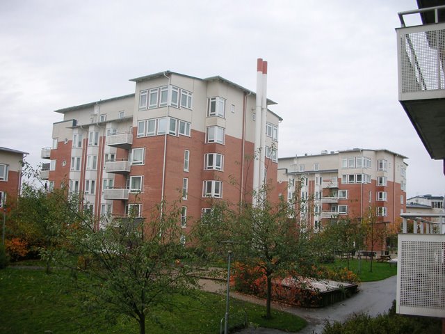 DSCN9721