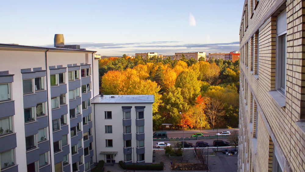 Autumn, Pax - Västra Skogen