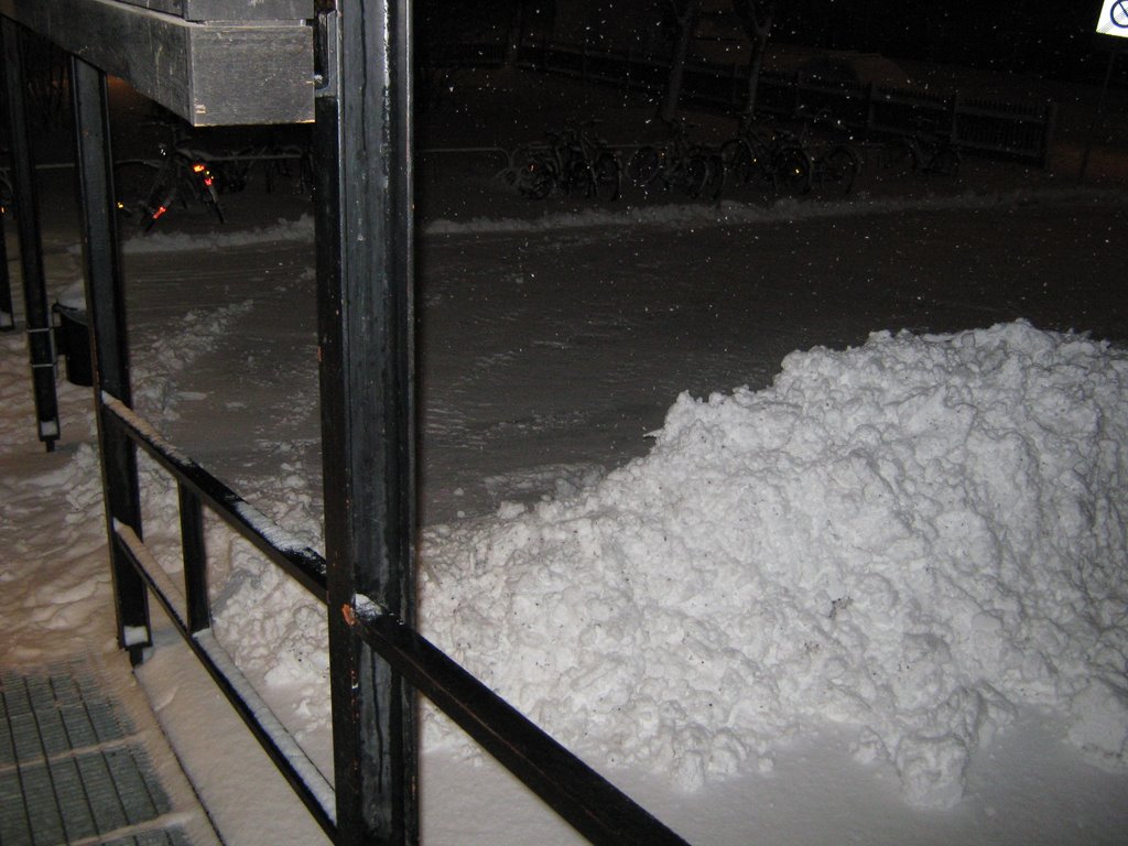 snow infront of my house