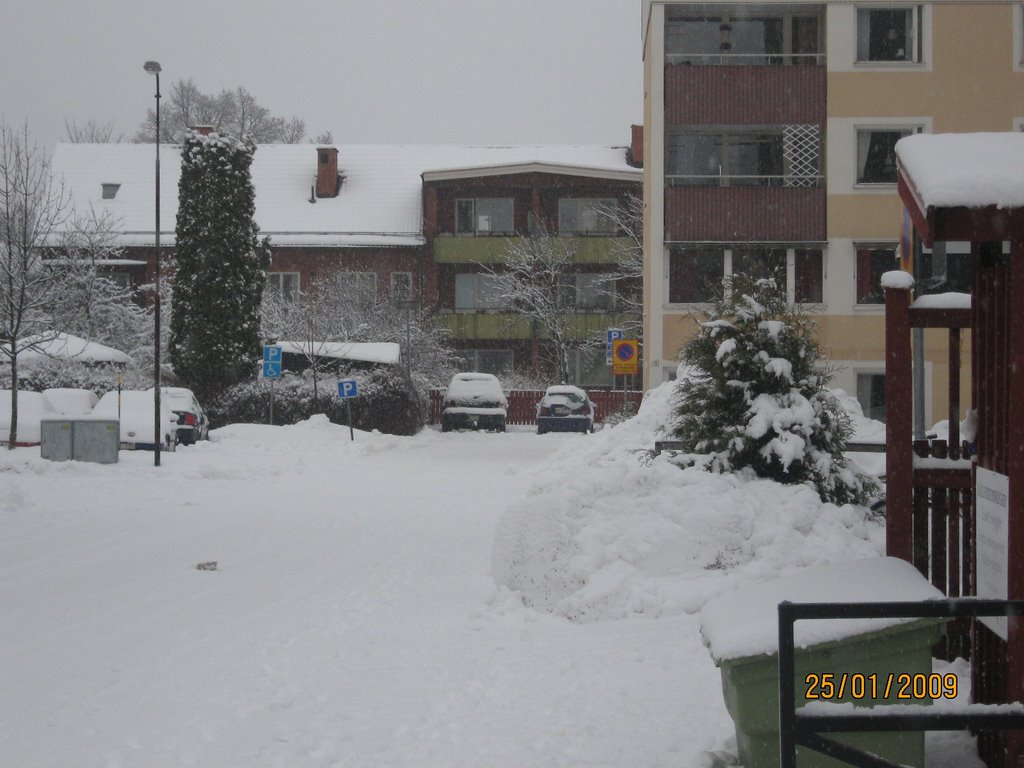 hauses