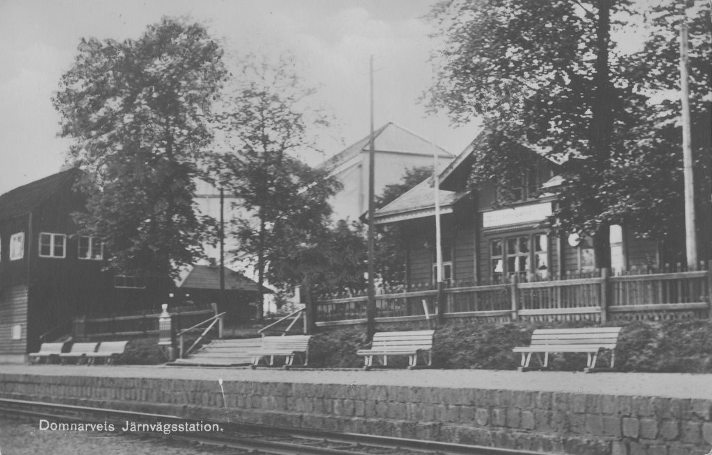 Domnarvets Järnvägsstation