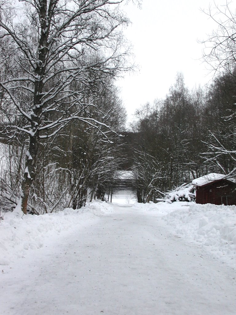 Dalälven1