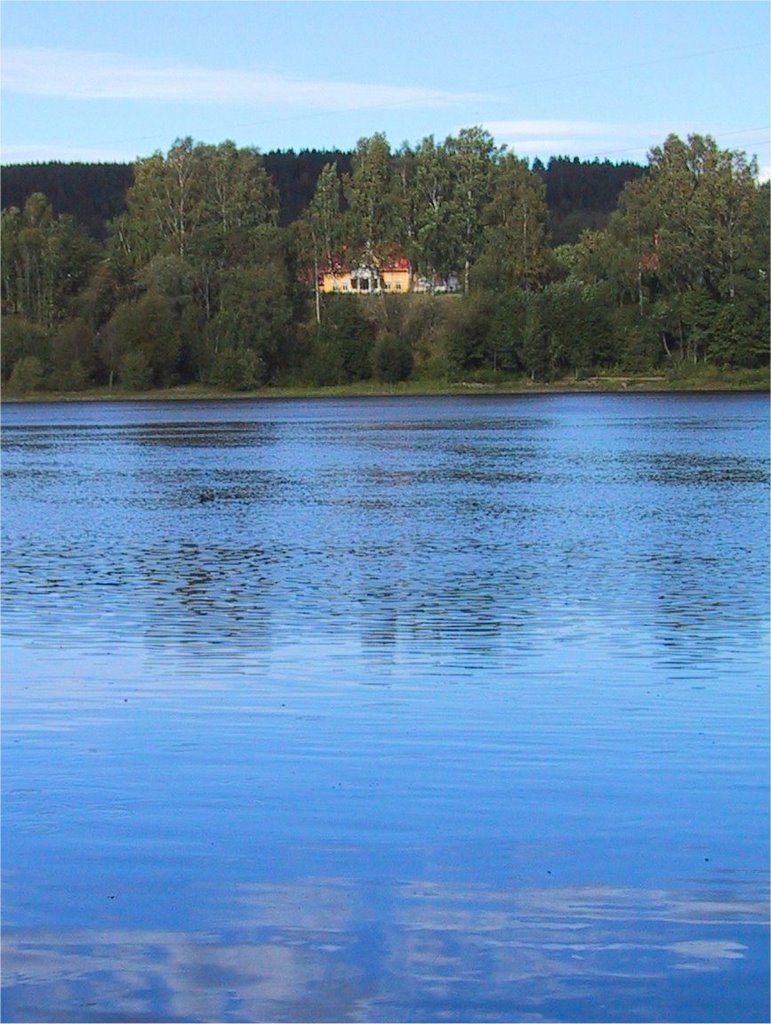 Tvärs över Dalälven - Nipgården