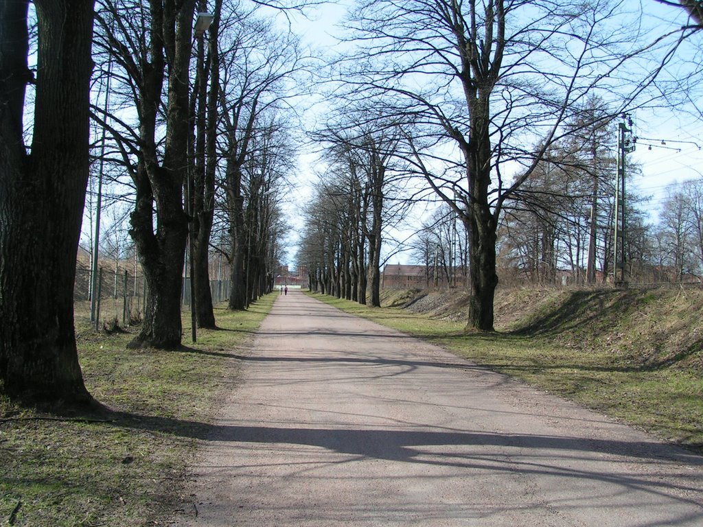 Allén. Domnarvet
