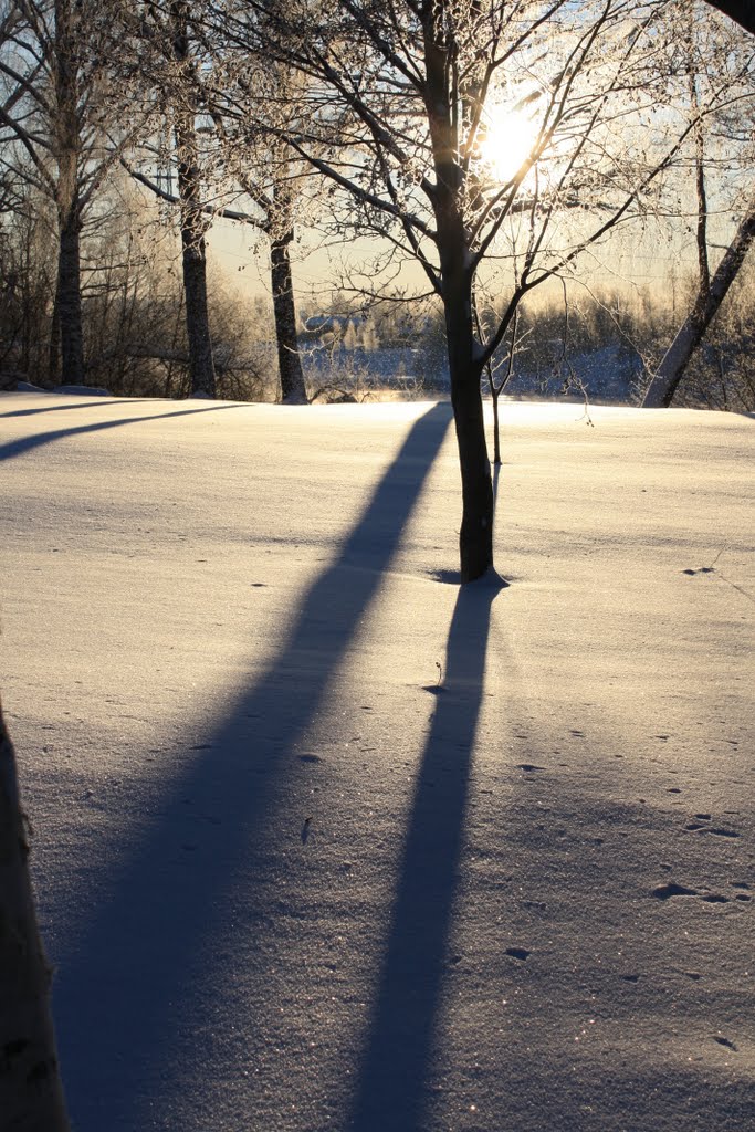 Winter