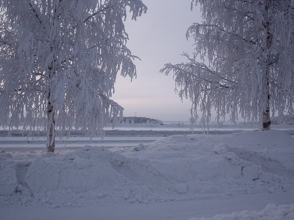 Cold day in Luleå