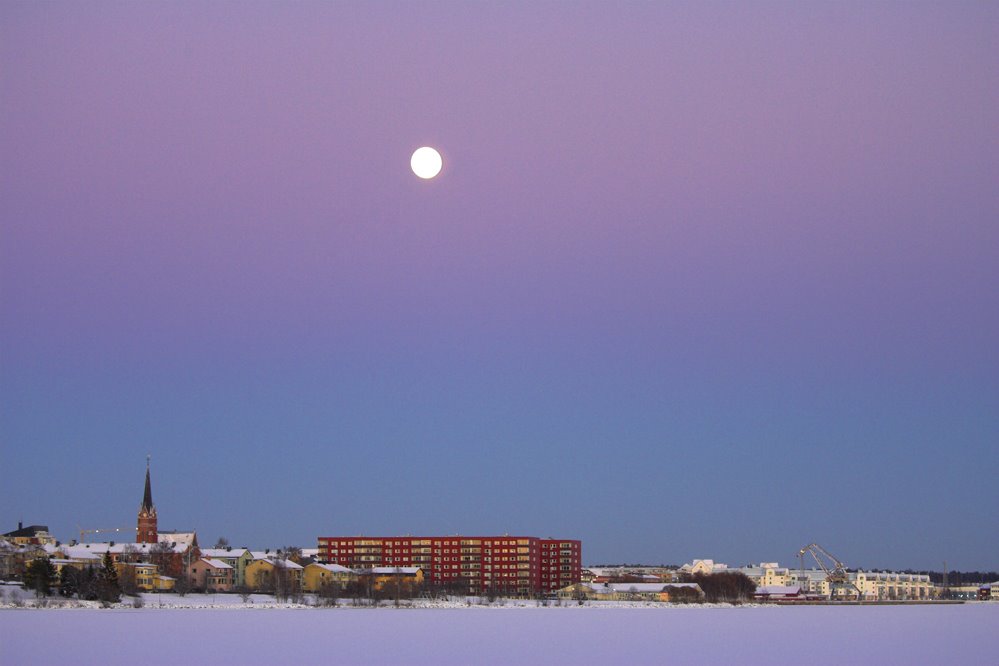 Winter afternoon