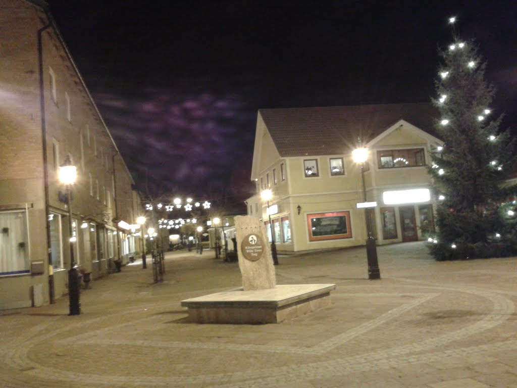 Wille Toors Torg, Malung