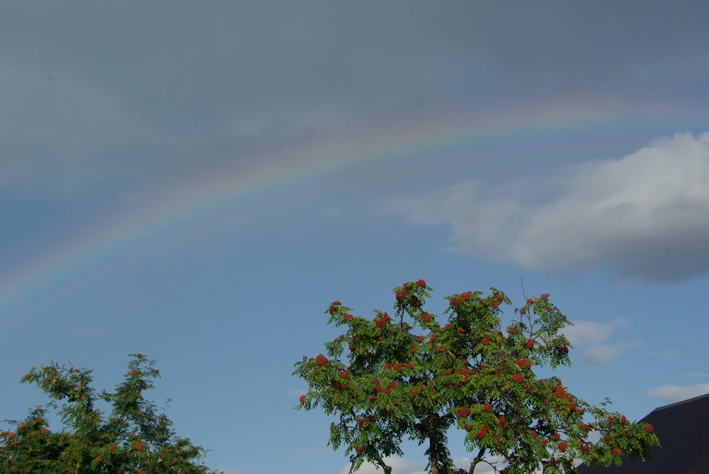 Over the RAINBOW ...