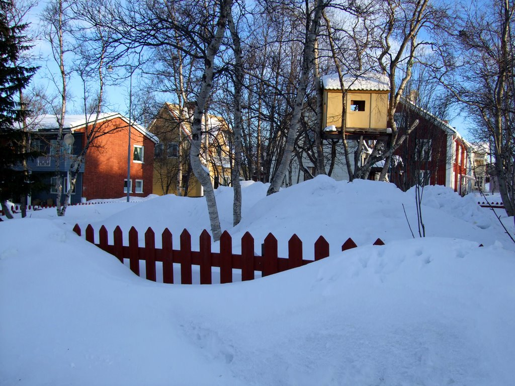 Amazing Kiruna