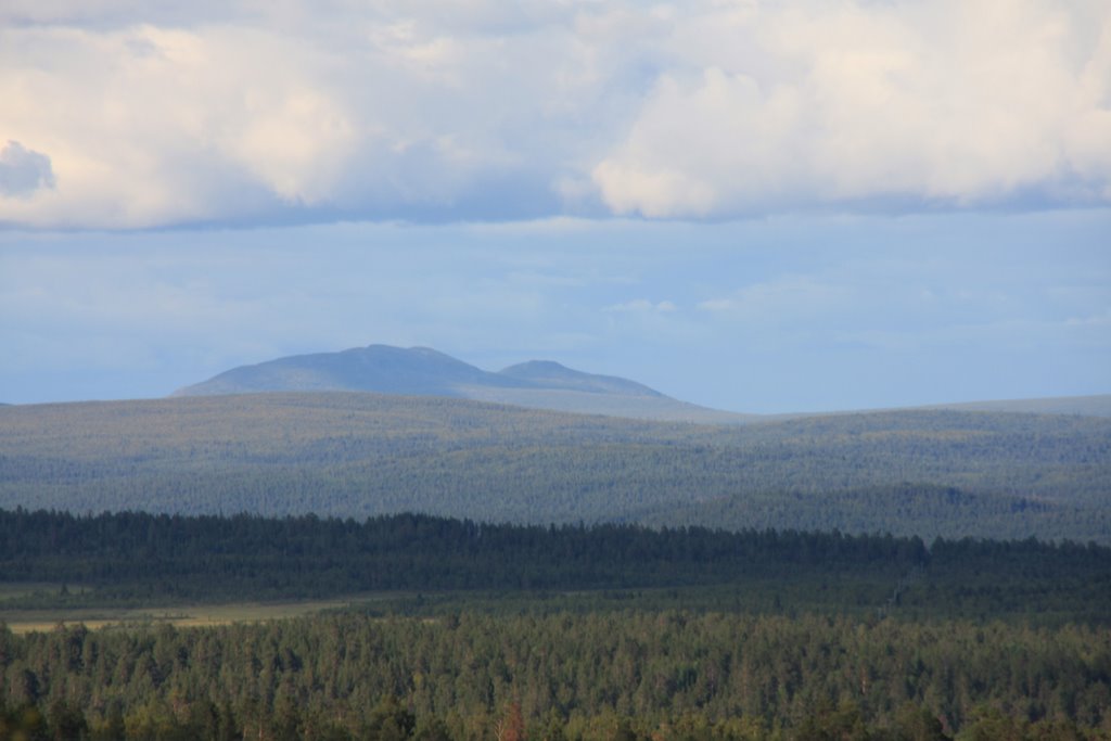 Wälder um Kiruna
