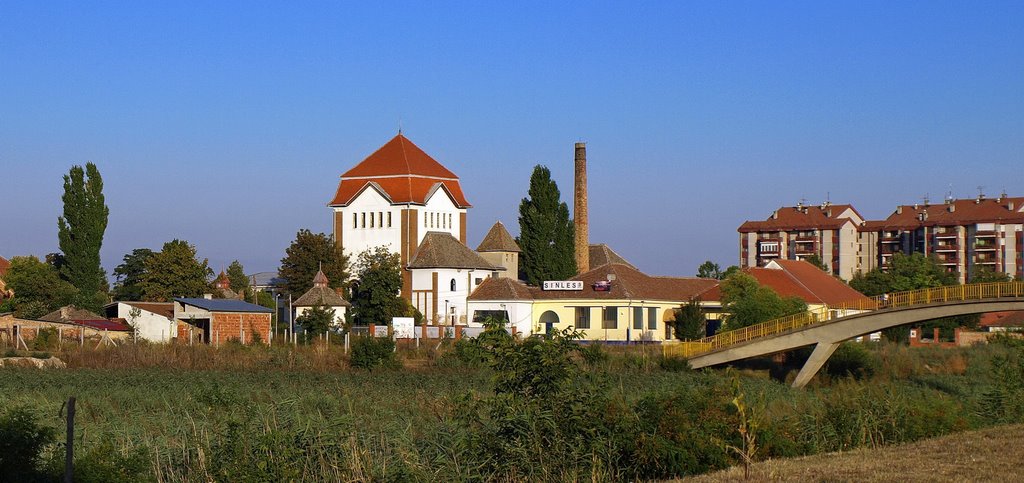 Pesacki most