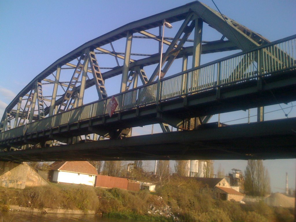 Most na Begeju 2