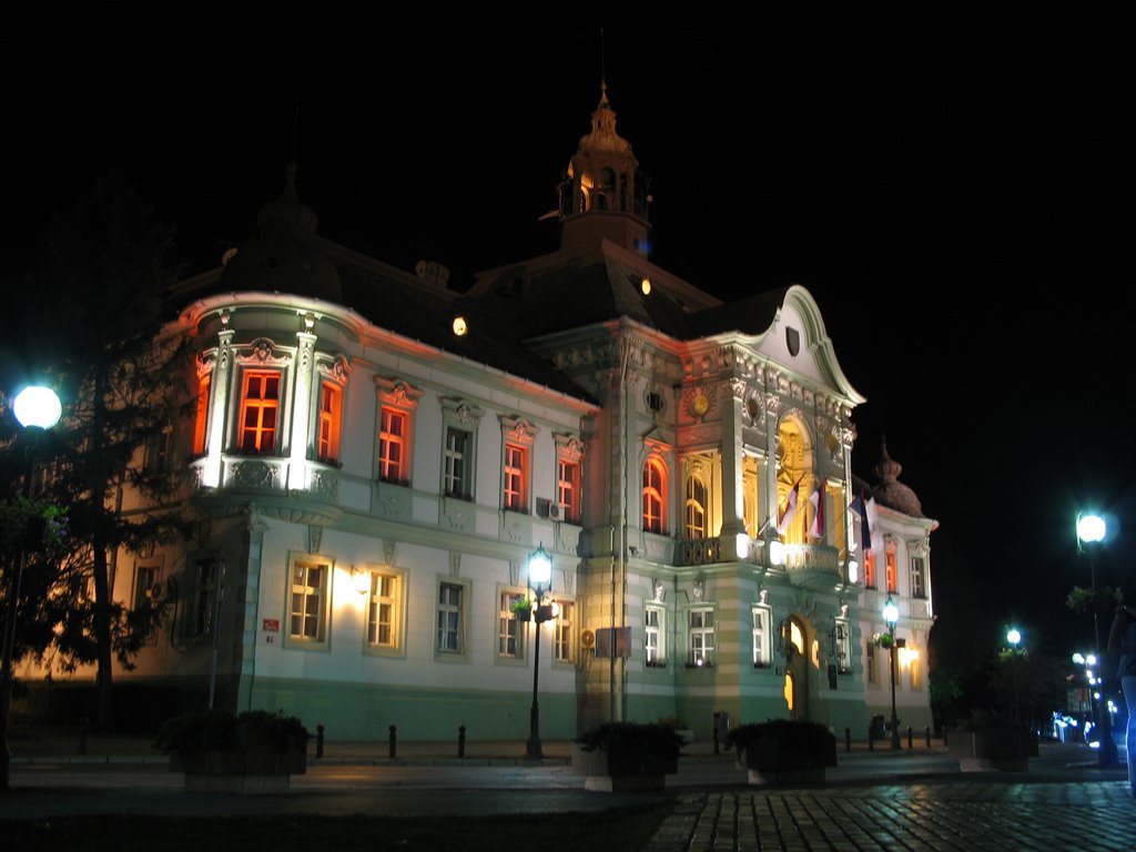Gradska kuća Zrenjanin_Town hall at night