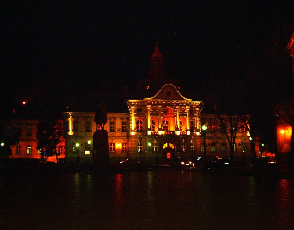 Zrenjanin, Skupština