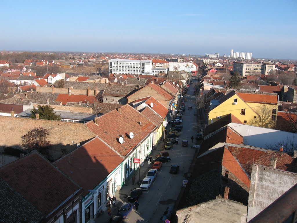 Pupinova